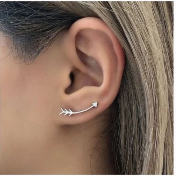 Jewelry - Silver Arrow Earclimber Earrings